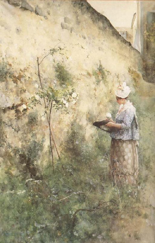 Carl Larsson The Old Wall oil painting picture